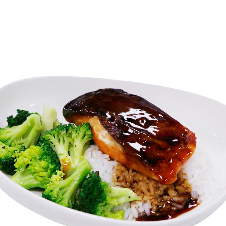 Delicious Teriyaki Options